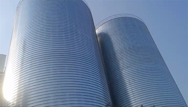 柘荣2座混凝土高架卷板仓